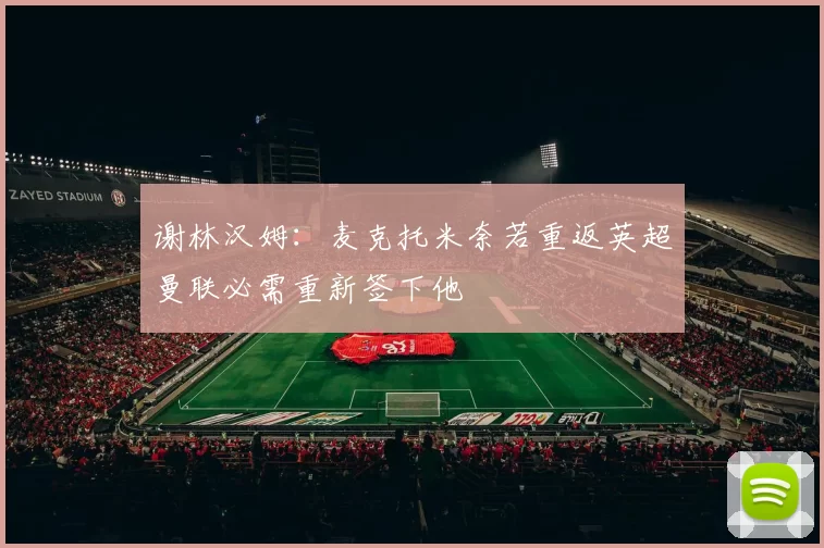 谢林汉姆：麦克托米奈若重返英超曼联必需重新签下他