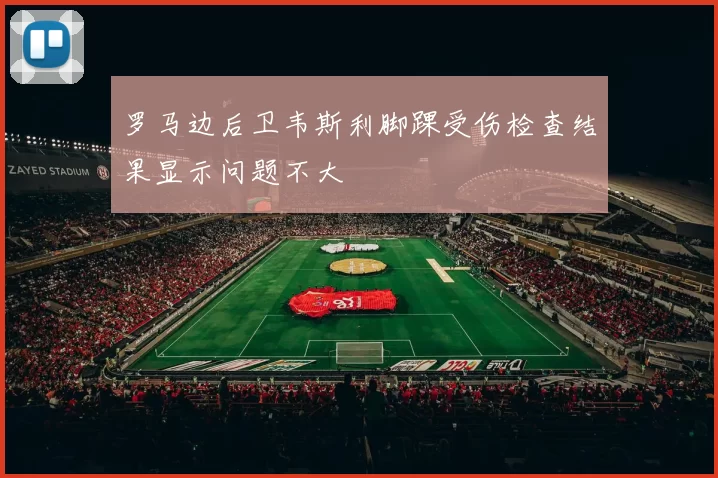 罗马边后卫韦斯利脚踝受伤检查结果显示问题不大
