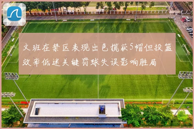 文班在禁区表现出色揽获5帽但投篮效率低迷关键罚球失误影响胜局